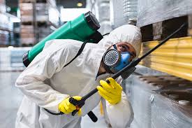 Best Fumigation Services  in Washington, GA